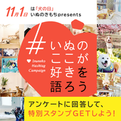 ♪いぬのきもち「#いぬのここが好き」アンケート♪