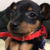 健康相談に関するアンケート