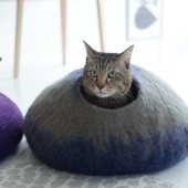 【第1回】ねこのきもちカレンダー投票！2021