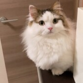 長期休暇中の困りごとについてアンケート