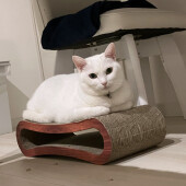 「猫に嫌われたかも」と感じた経験に関するアンケート